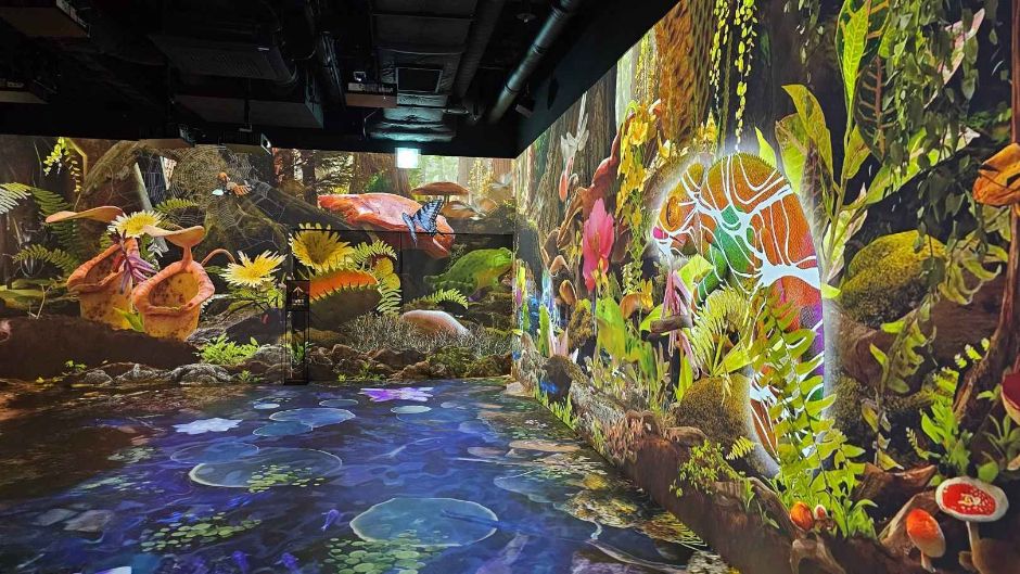 과천 원더파크 이미지 3