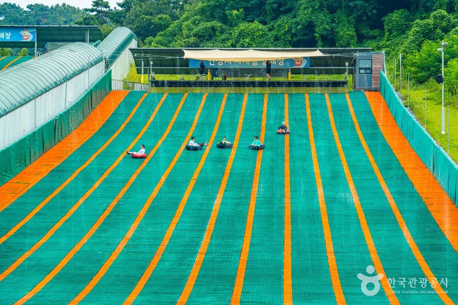 안성시 사계절썰매장 이미지 1