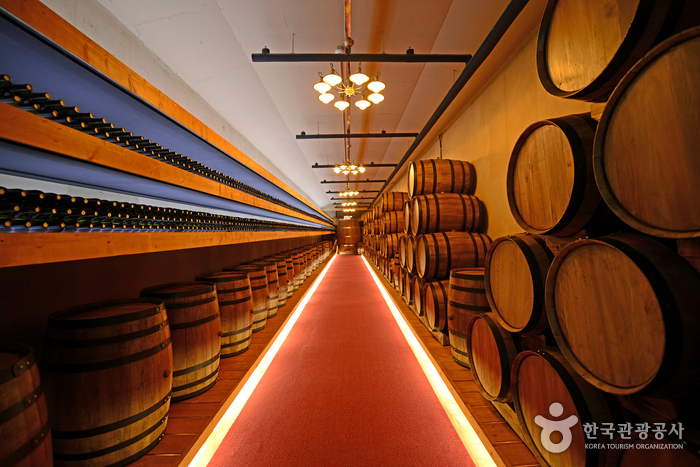 영동 와인터널 이미지 1