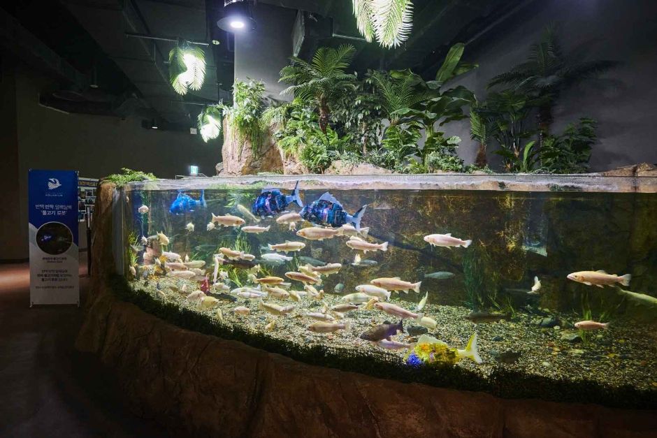 대전 엑스포 아쿠아리움 이미지 2