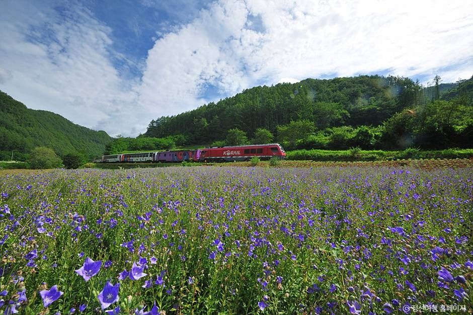 정선아리랑열차(A-train) 이미지 4