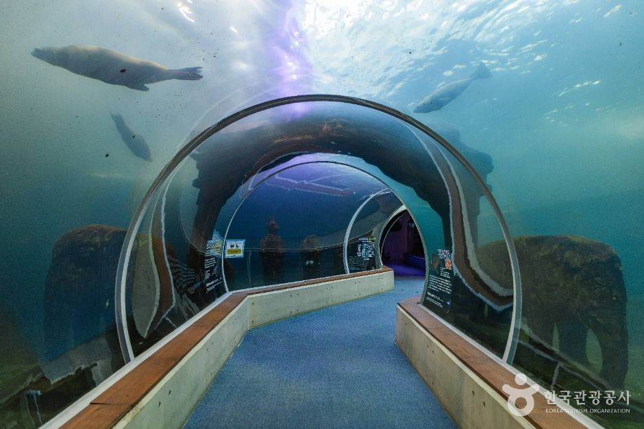 아라마루 아쿠아리움 이미지 1