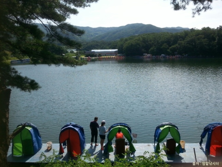 밤밭낚시터 이미지 2