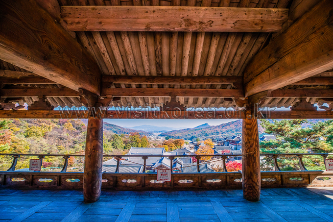 용인 대장금파크 이미지 4