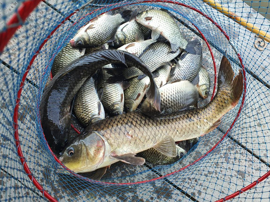 노진낚시터 이미지 5