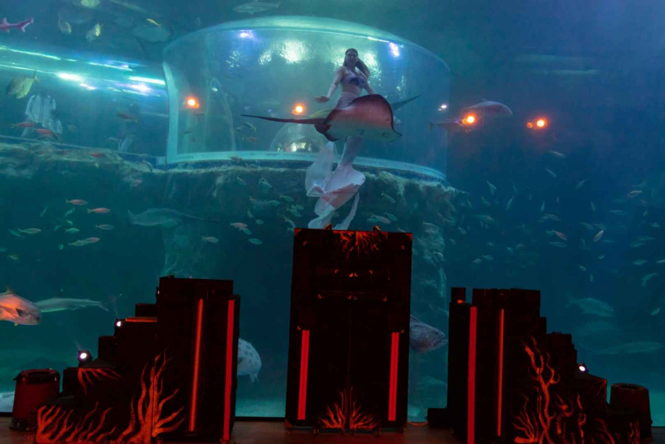 아쿠아플라넷 여수 이미지 7