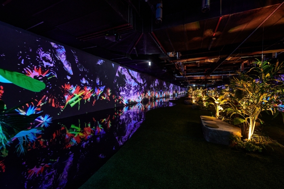 정글의 법칙 미디어파크 이미지 2