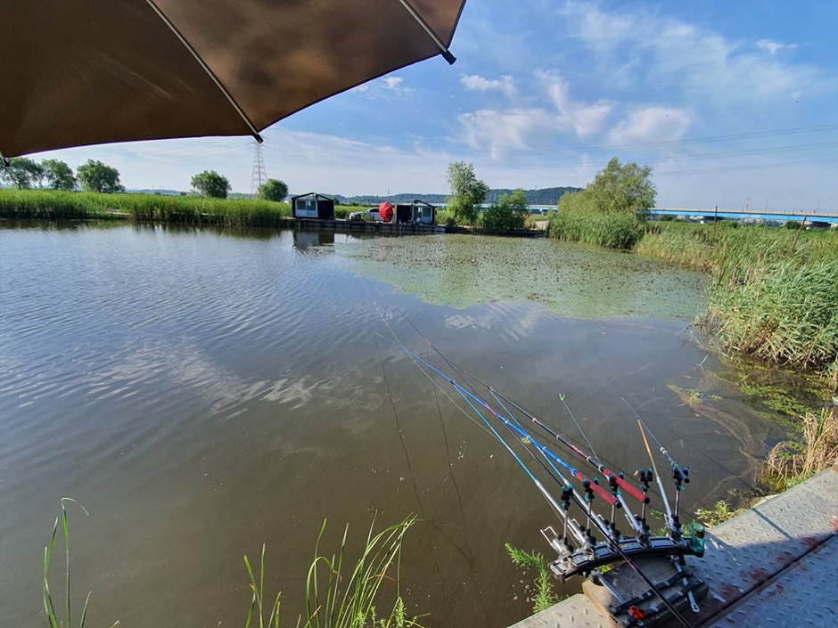 노진낚시터 이미지 2