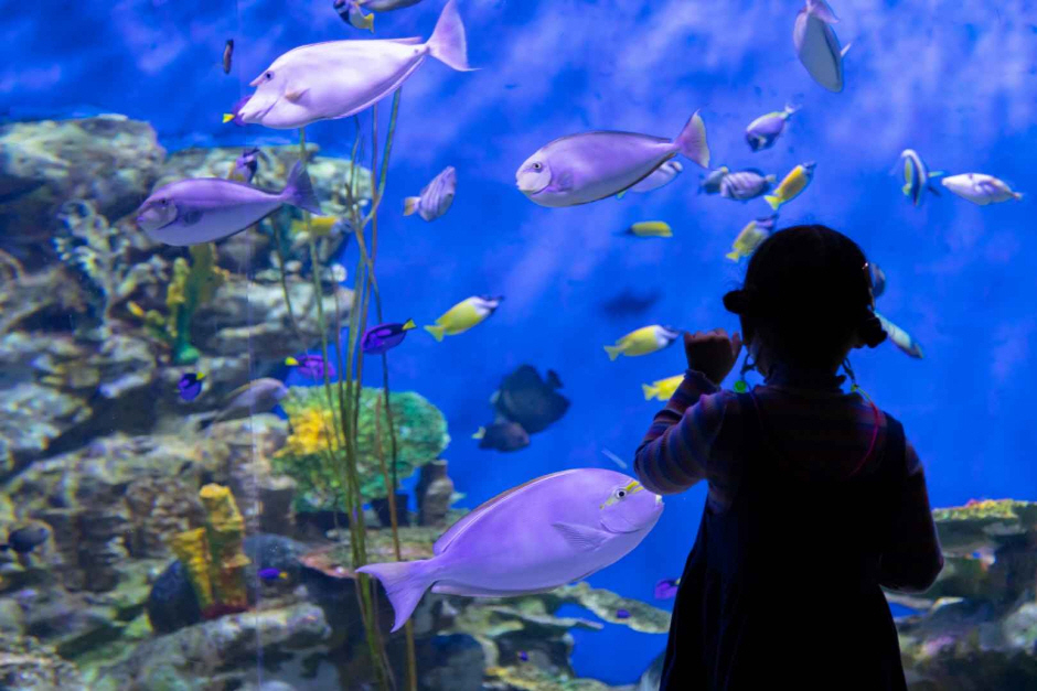 아쿠아플라넷 여수 이미지 4