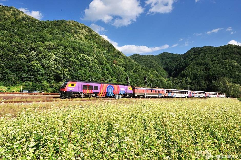 정선아리랑열차(A-train) 이미지 2