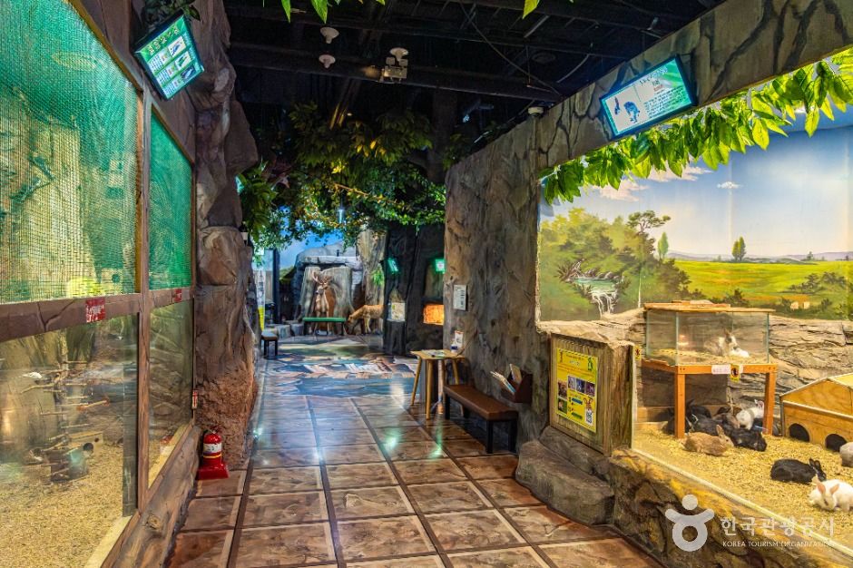 플레이 아쿠아리움 부천 이미지 4