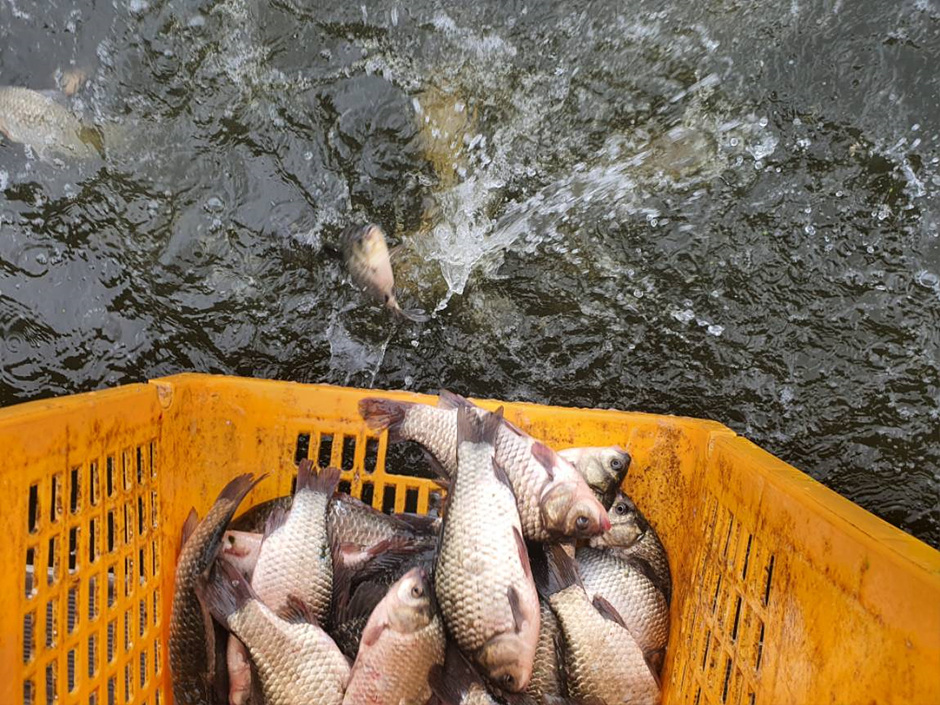 노진낚시터 이미지 4