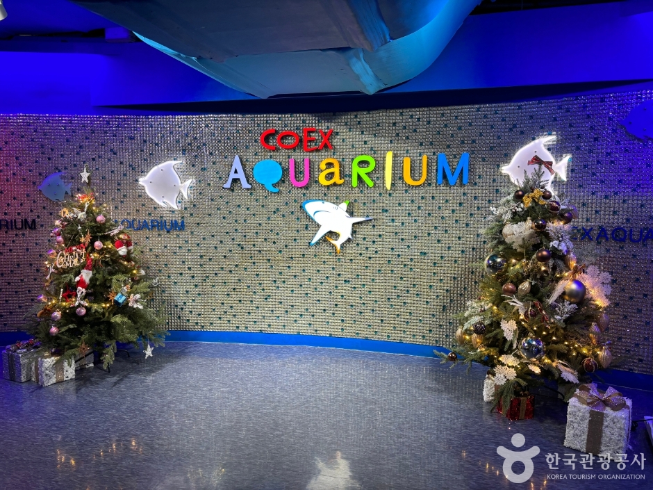 코엑스 아쿠아리움 이미지 3