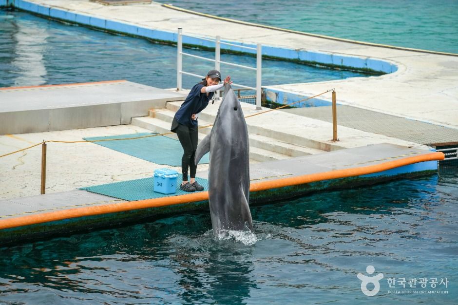 거제씨월드 이미지 3