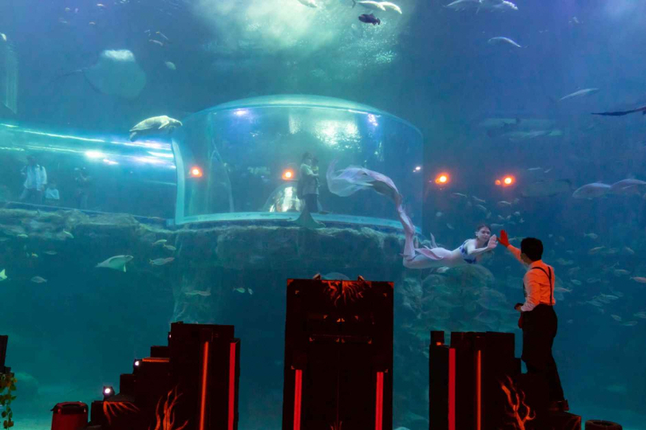 아쿠아플라넷 여수 이미지 3