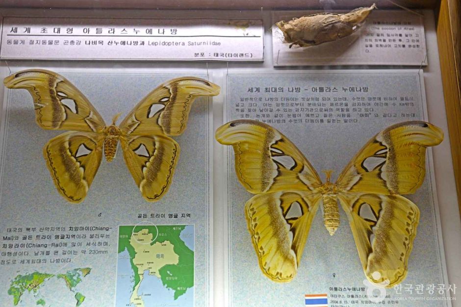 부안누에타운 이미지 3