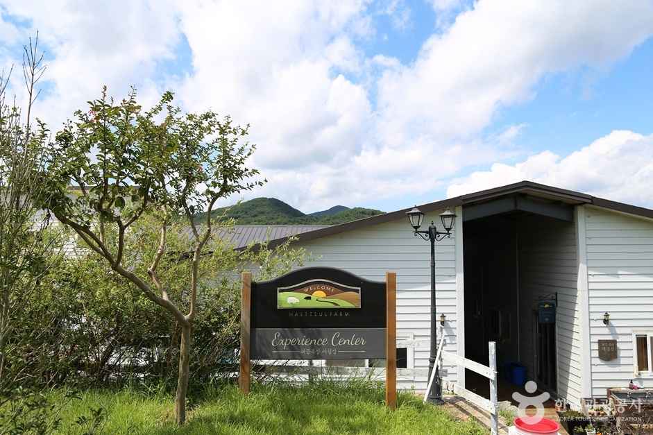 하동 해뜰목장 이미지 4