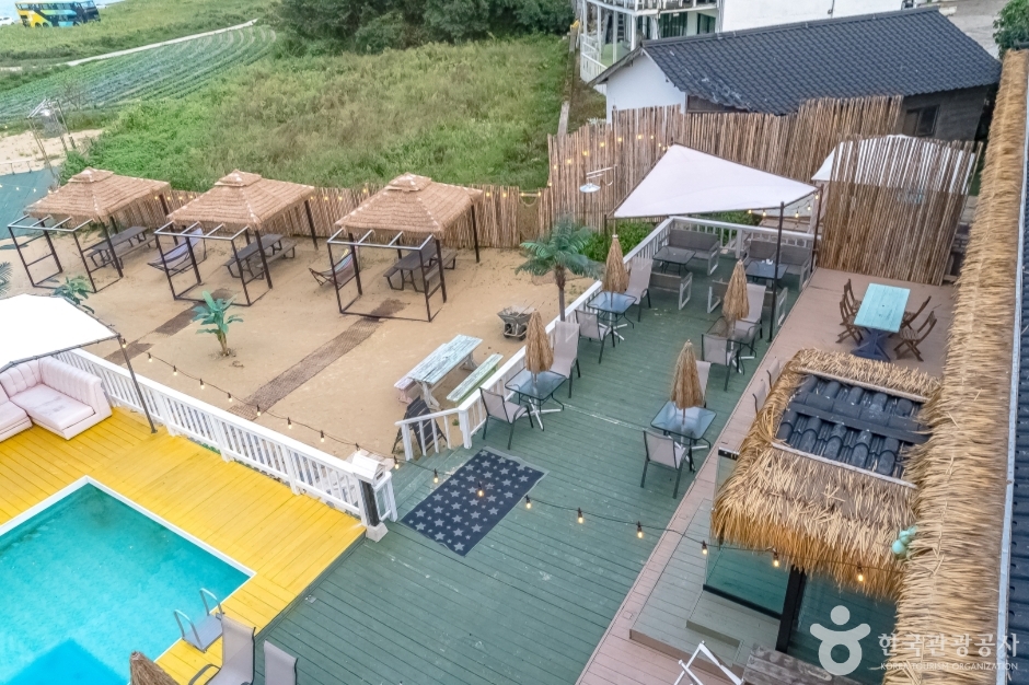 하파서프 이미지 6