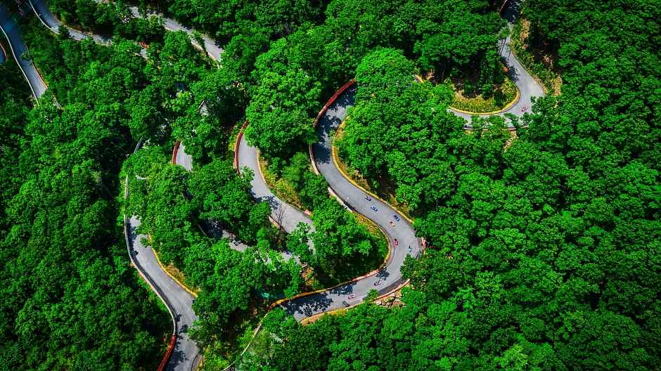 블랙스톤벨포레리조트익스트림루지 이미지 2