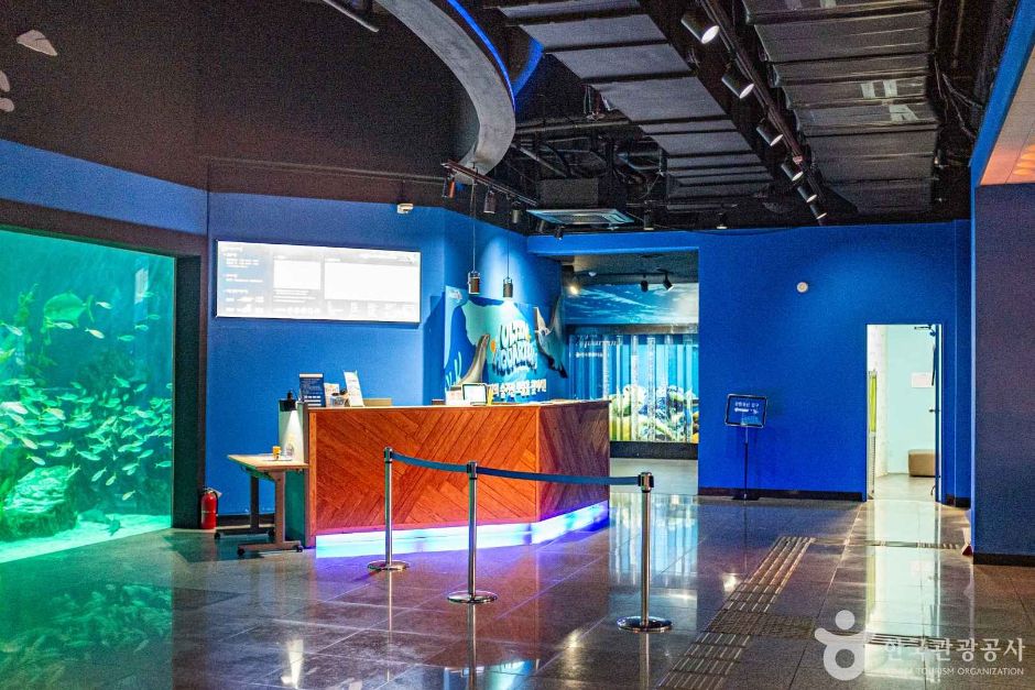 울진아쿠아리움 이미지 4