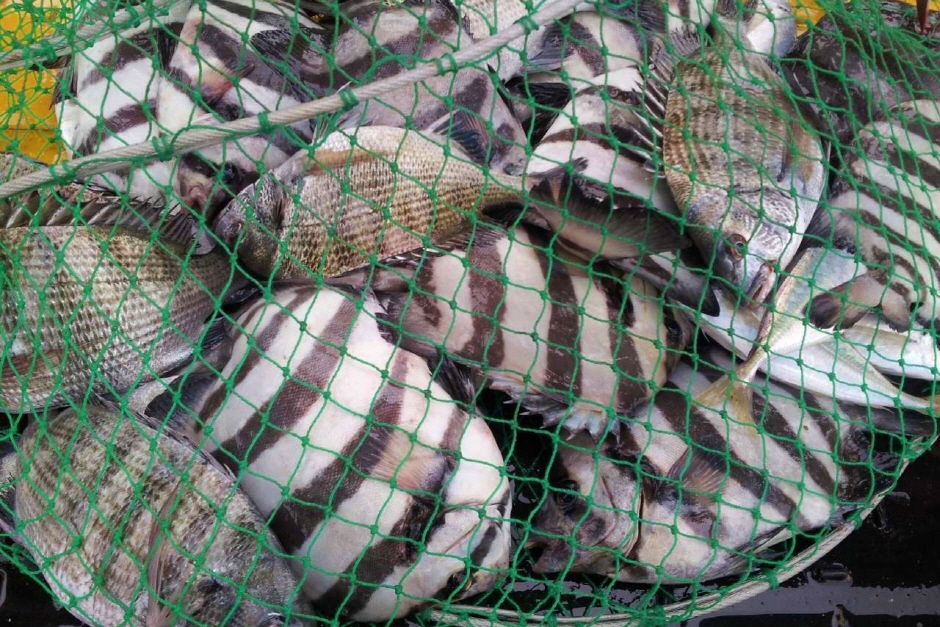 거금해양낚시공원 이미지 5