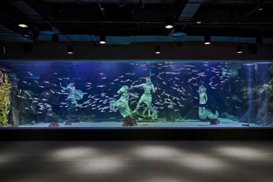 대전 엑스포 아쿠아리움 이미지 10