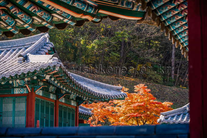 용인 대장금파크 이미지 5