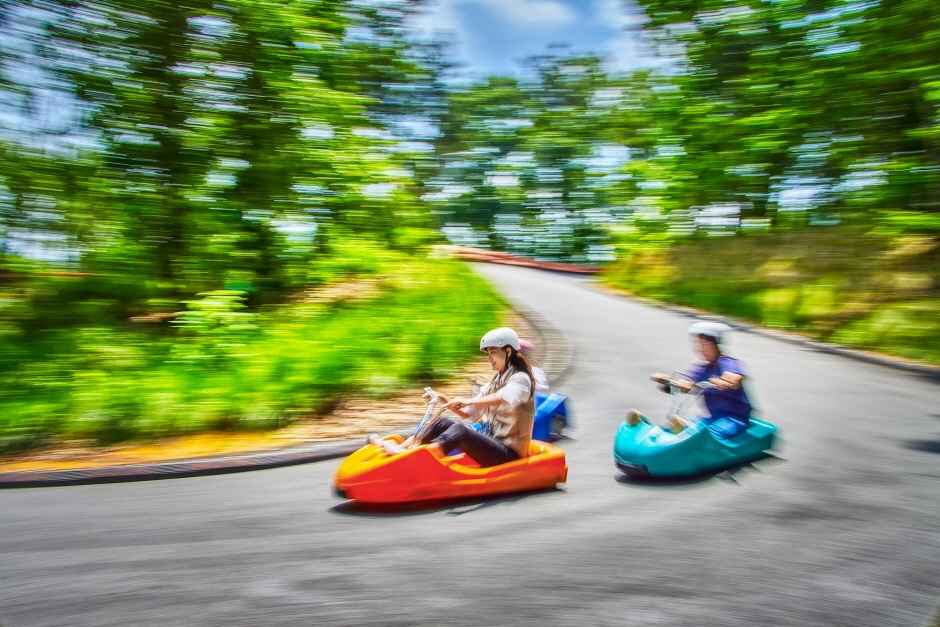 블랙스톤벨포레리조트익스트림루지 이미지 1