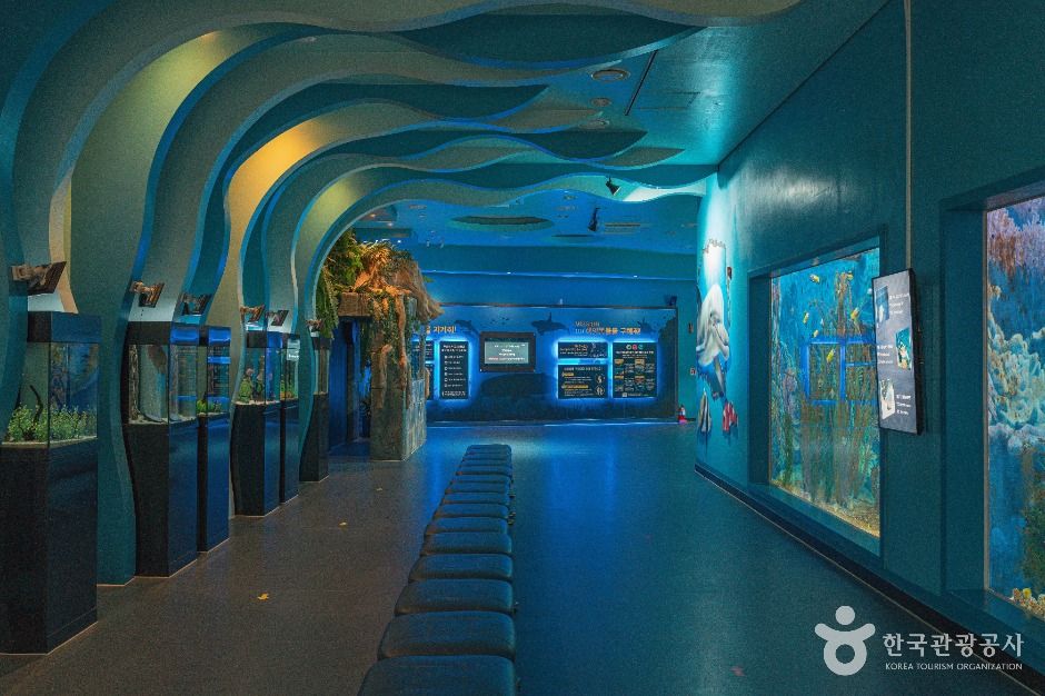 장생포 고래생태체험관 이미지 4