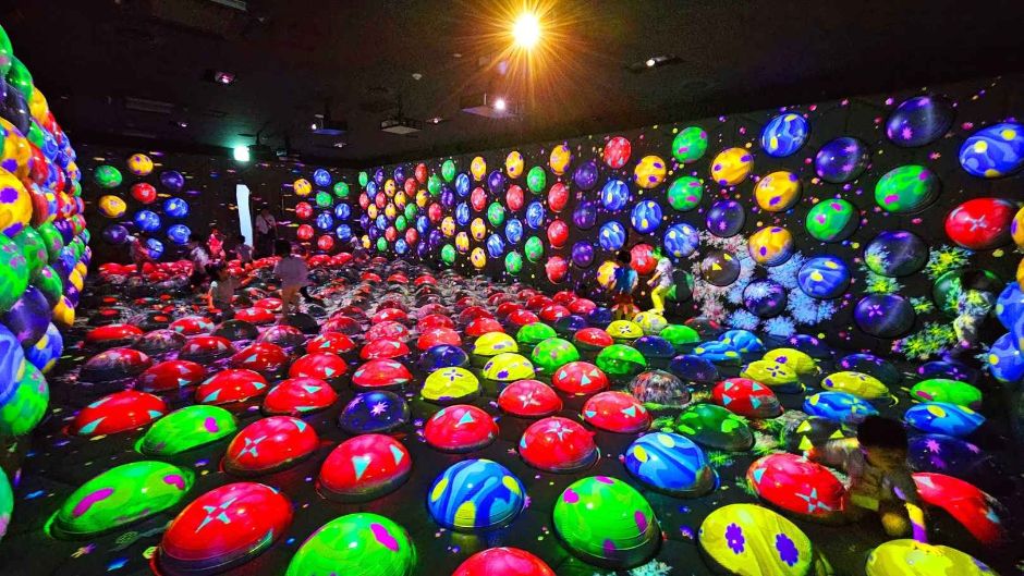 과천 원더파크 이미지 2