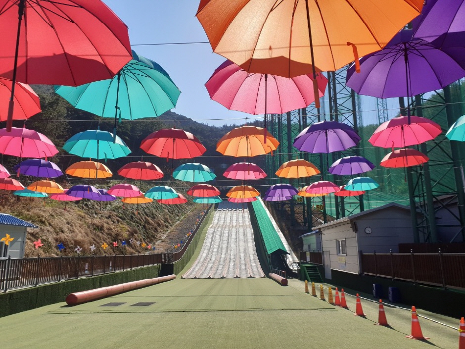 단양 사계절썰매장 이미지 1