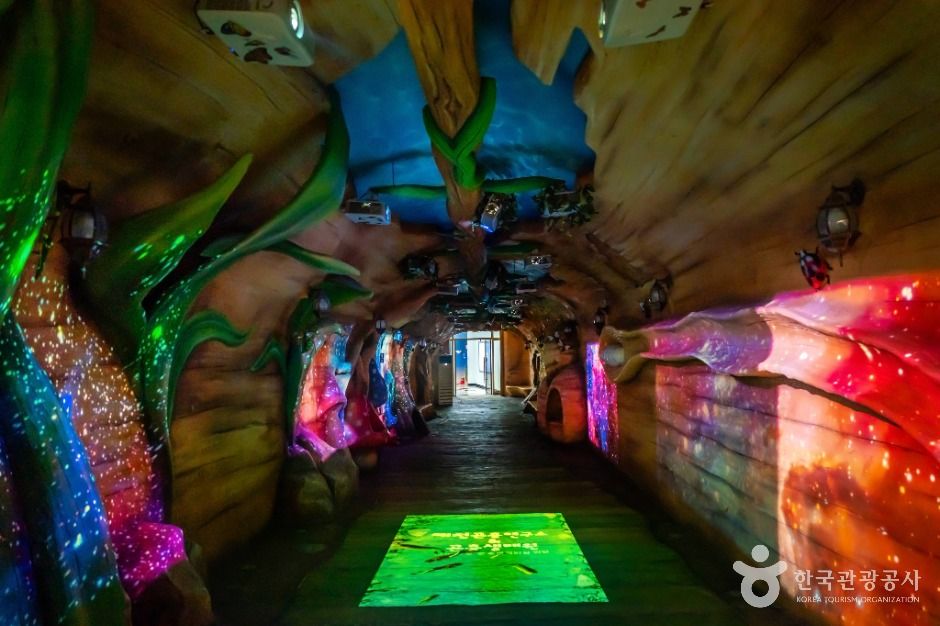 예천 곤충연구소&곤충생태원 이미지 3