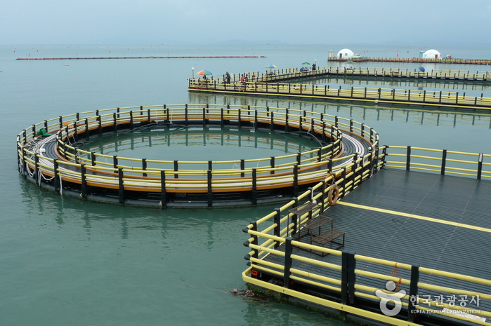 정남진해양낚시공원 이미지 6