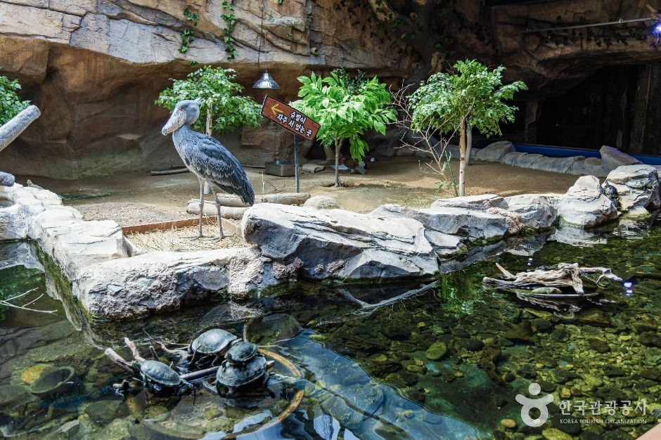 아라마루 아쿠아리움 이미지 6