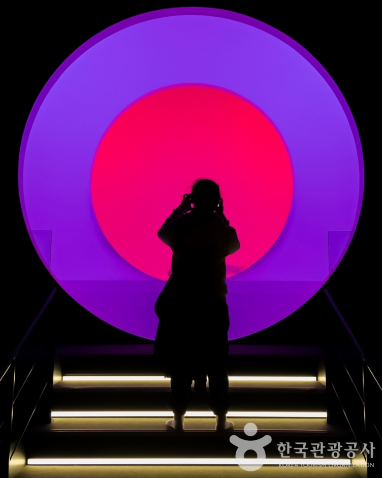 아르떼뮤지엄 강릉 이미지 5