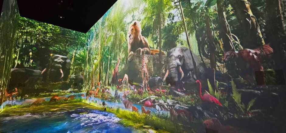 과천 원더파크 이미지 4