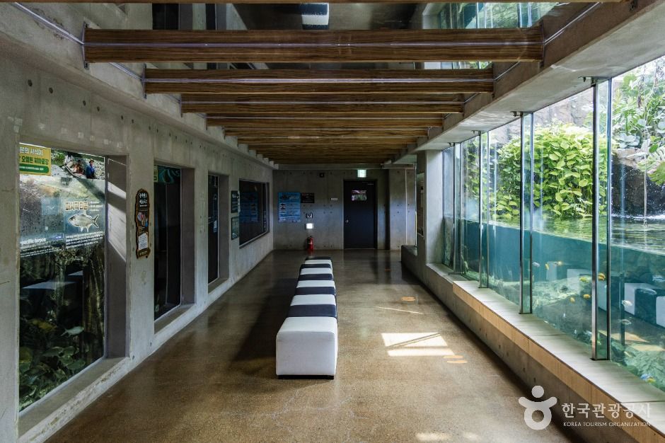 아라마루 아쿠아리움 이미지 5