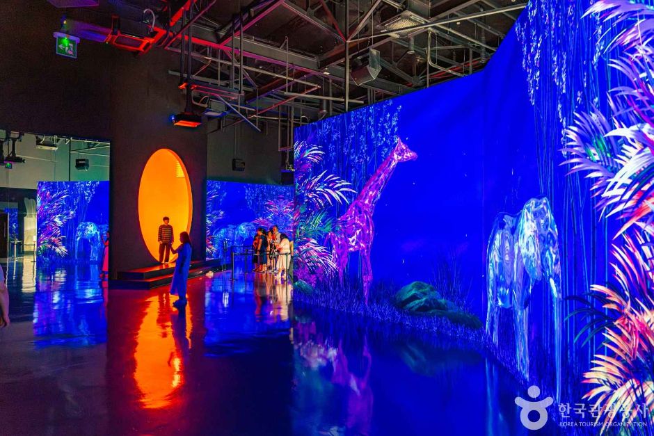 아르떼뮤지엄 부산 이미지 3