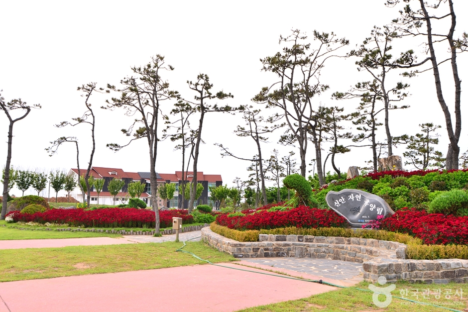 1004 뮤지엄파크 이미지 4