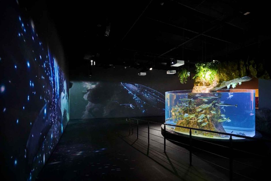 대전 엑스포 아쿠아리움 이미지 9