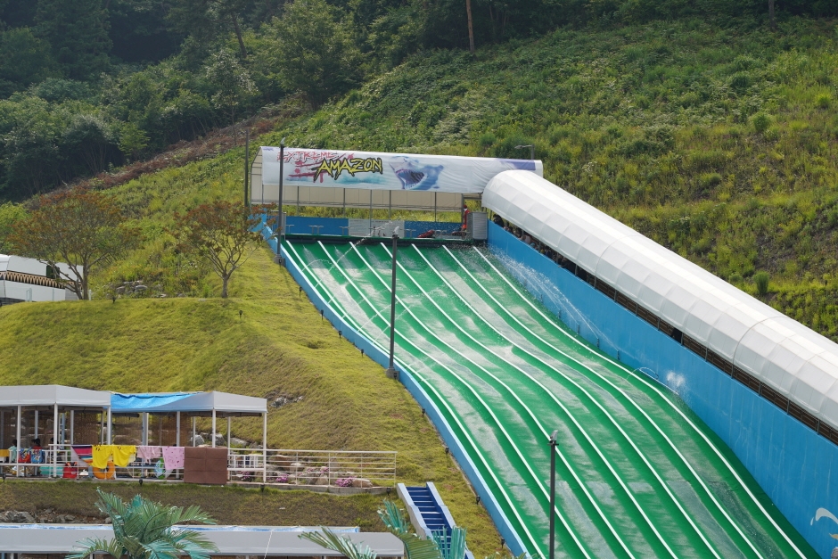 아쿠아틱파크 아마존 이미지 6