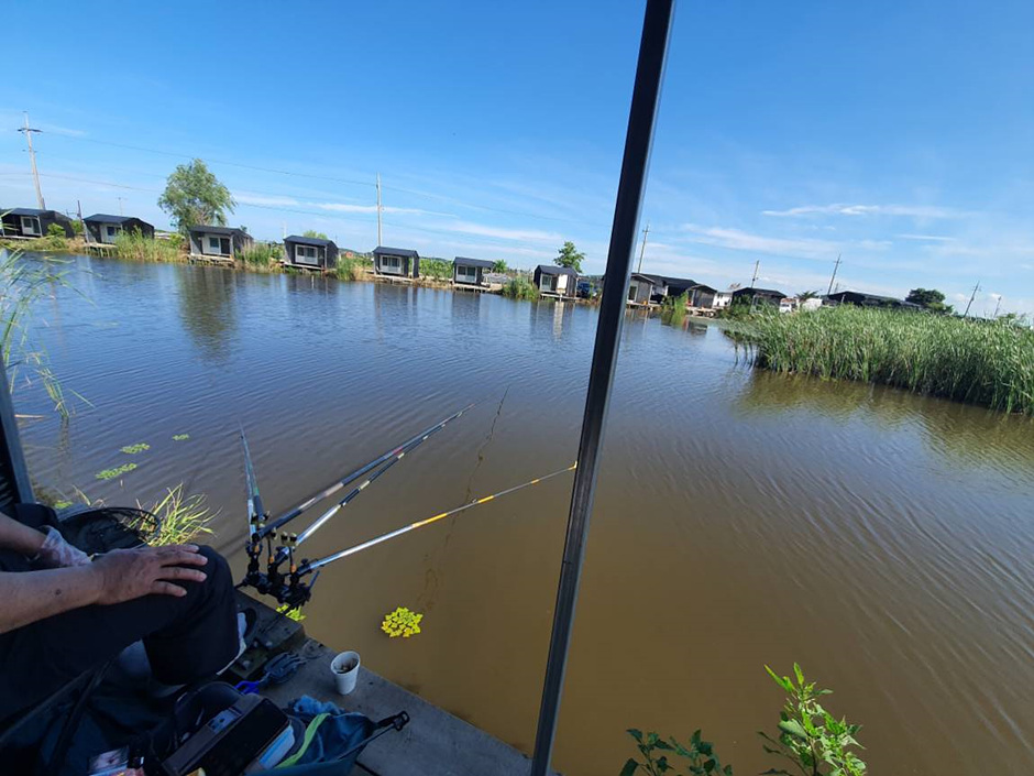 노진낚시터 이미지 1