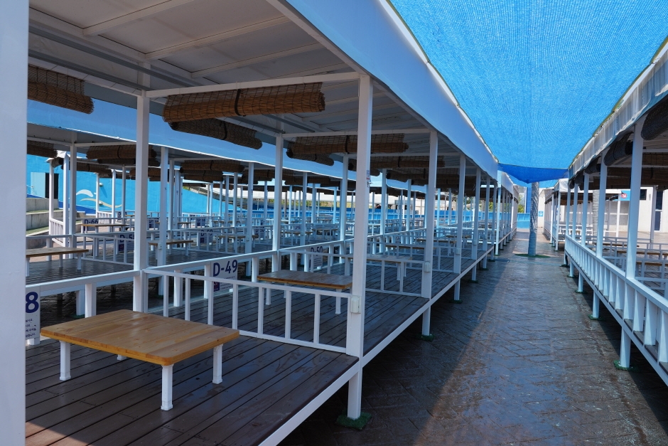 아쿠아틱파크 아마존 이미지 8