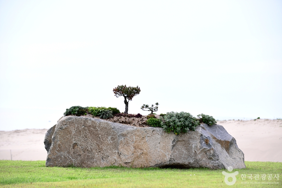 1004 뮤지엄파크 이미지 6