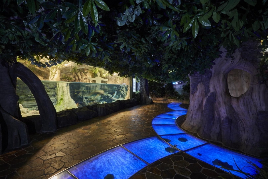 아쿠아플라넷 제주 이미지 5