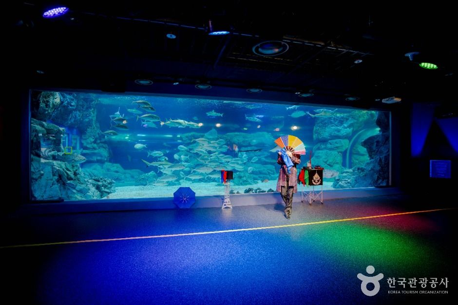 아쿠아플라넷 광교 이미지 6