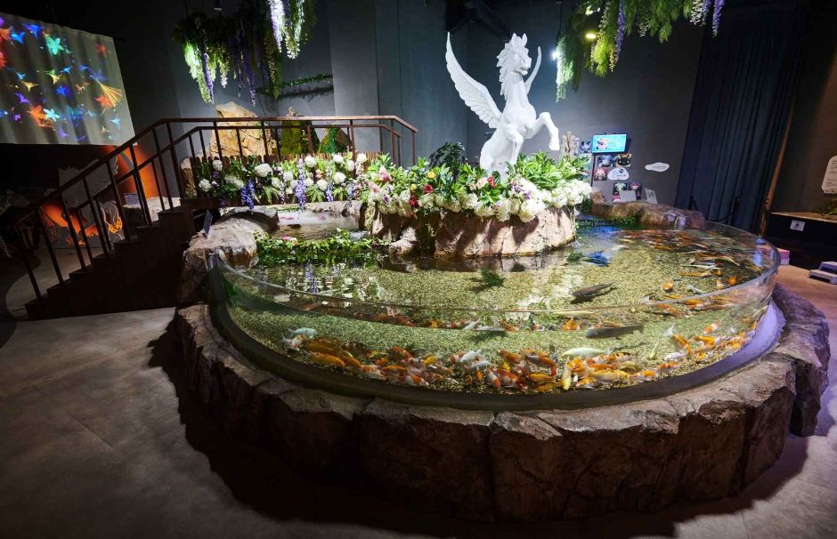 대전 엑스포 아쿠아리움 이미지 5