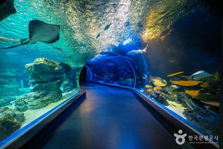 아쿠아플라넷 광교 이미지 1