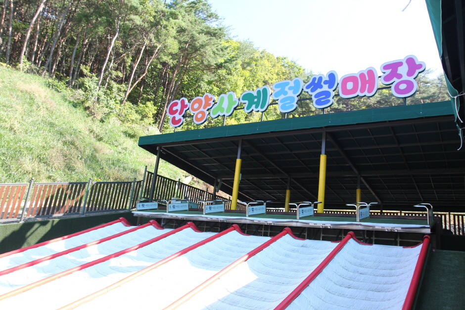 단양 사계절썰매장 이미지 3