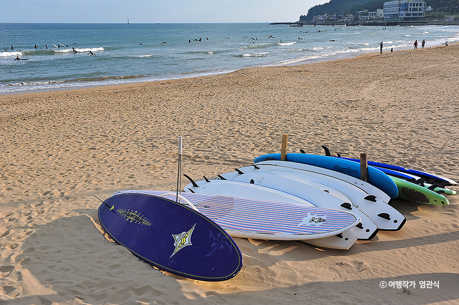 송정서핑학교 이미지 2